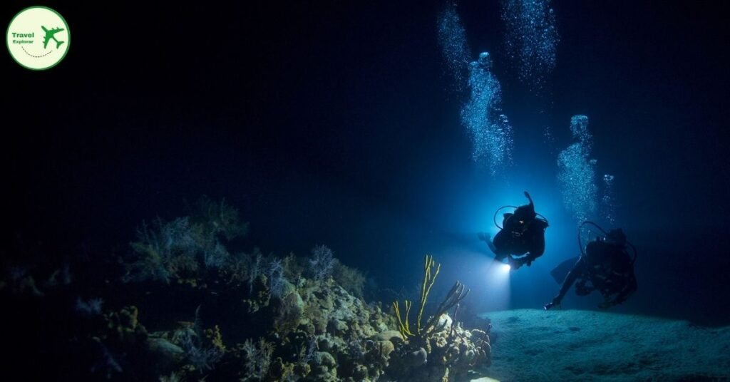 Night Diving