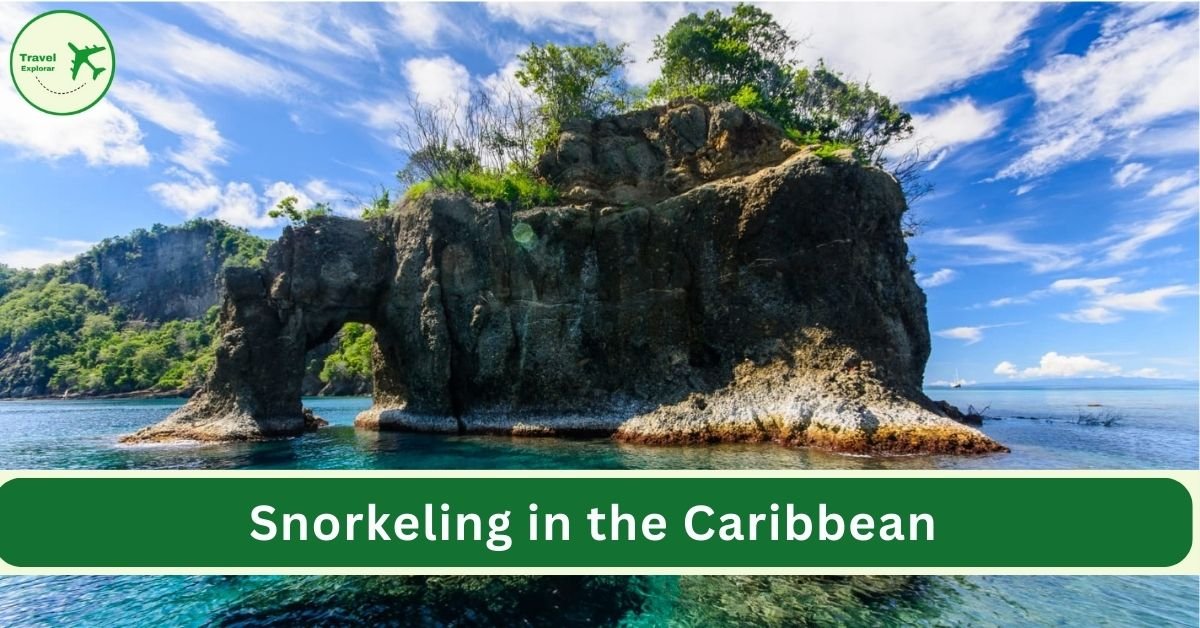 Snorkeling in the Caribbean