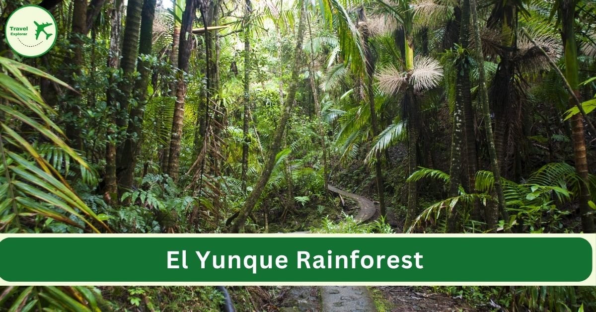 El Yunque Rainforest